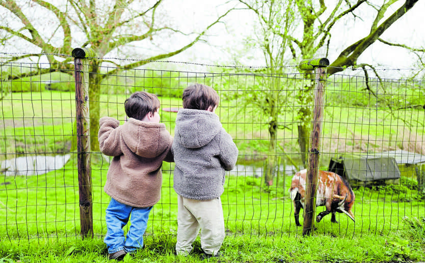  Voor hun berekening hebben de onderzoekers de data van duizenden eeneiige tweelingen geanalyseerd. Foto ter illustratie. Foto: ANP / Richard Brocken 